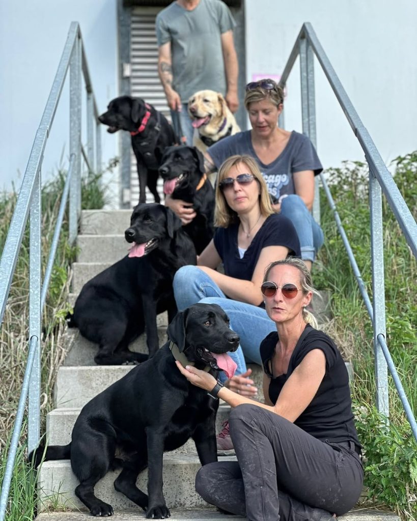 Dog family